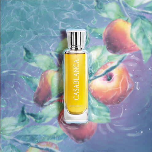 CASABLANCA - Image 3