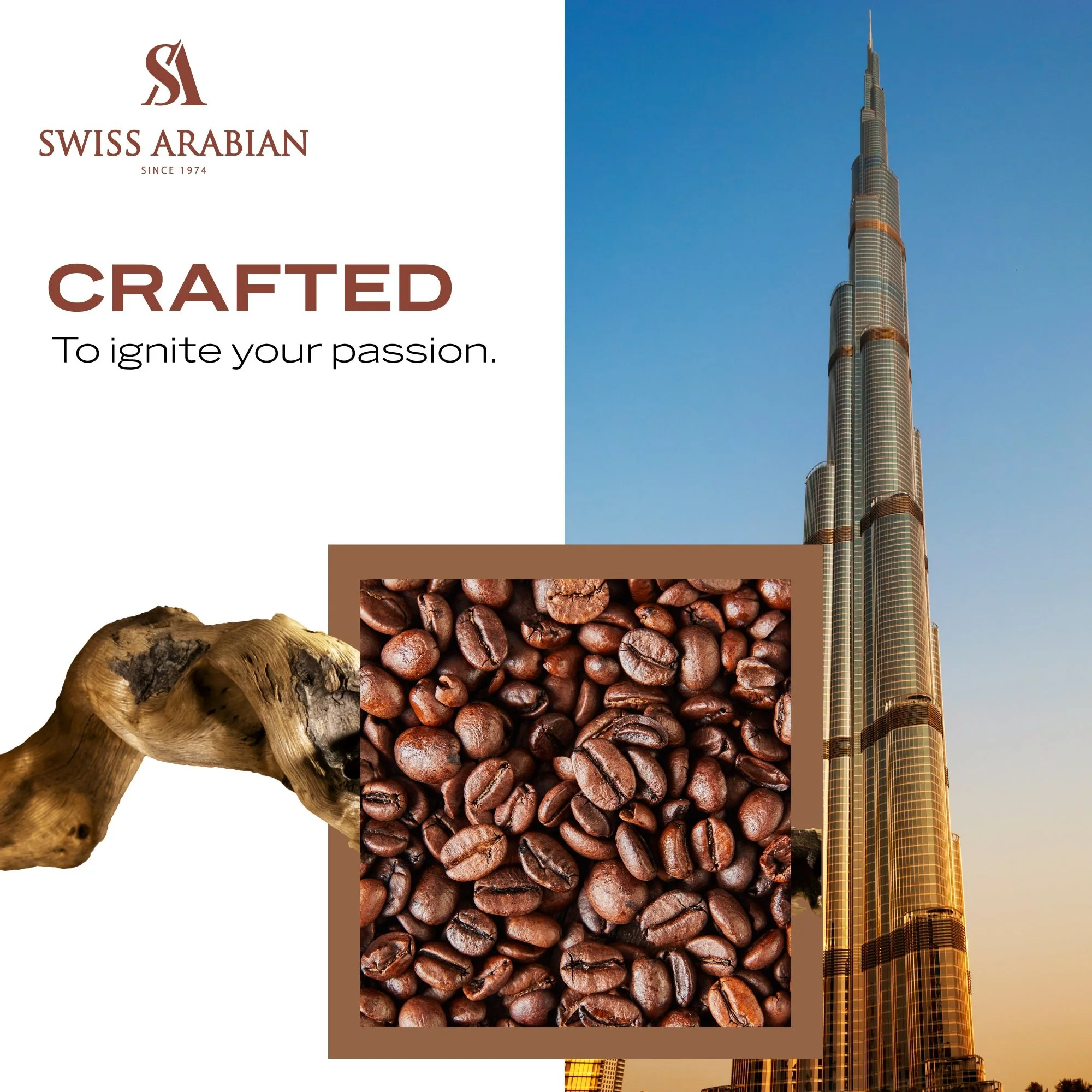 OPULENCE OF DUBAI - Image 6