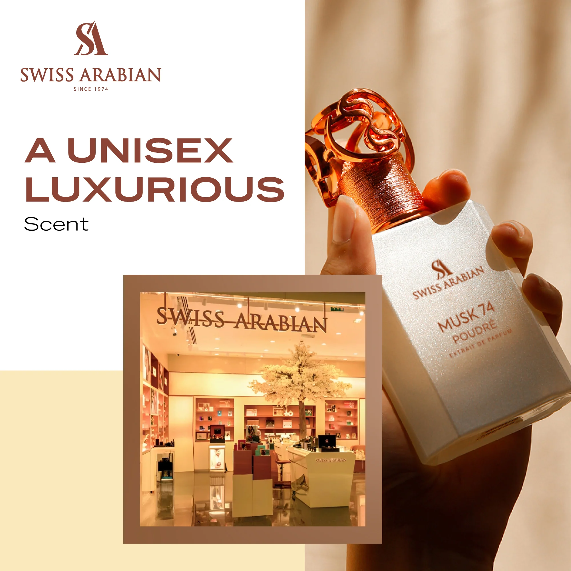 MUSK 74 POUDRE - Image 4