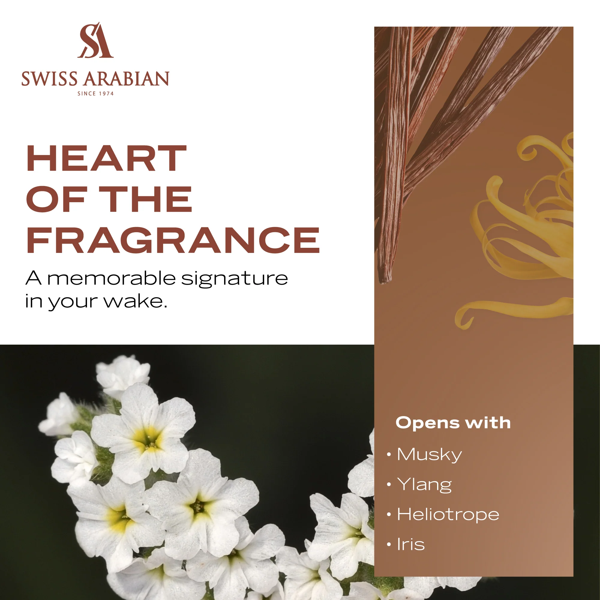 MUSK 74 POUDRE - Image 5