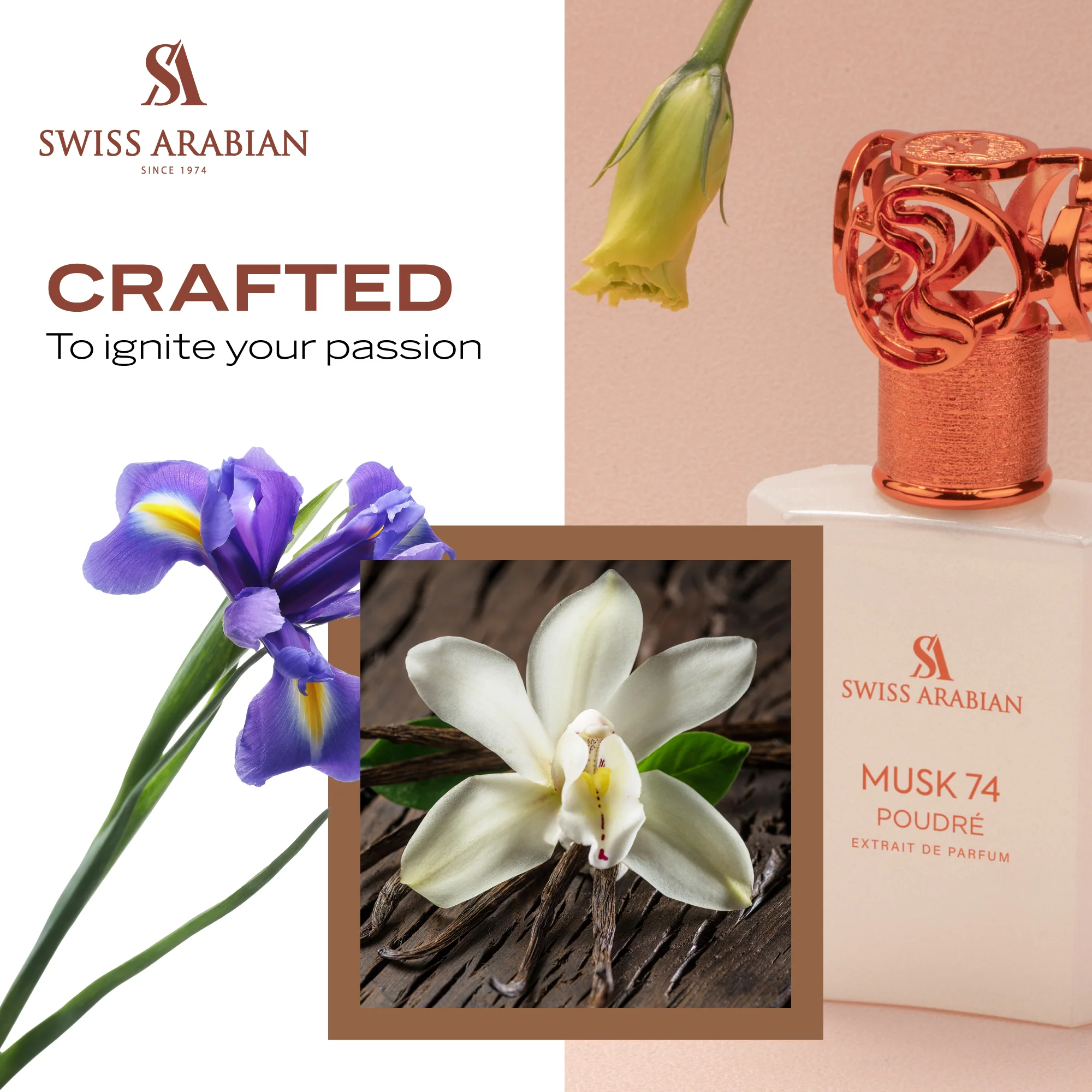 MUSK 74 POUDRE - Image 6