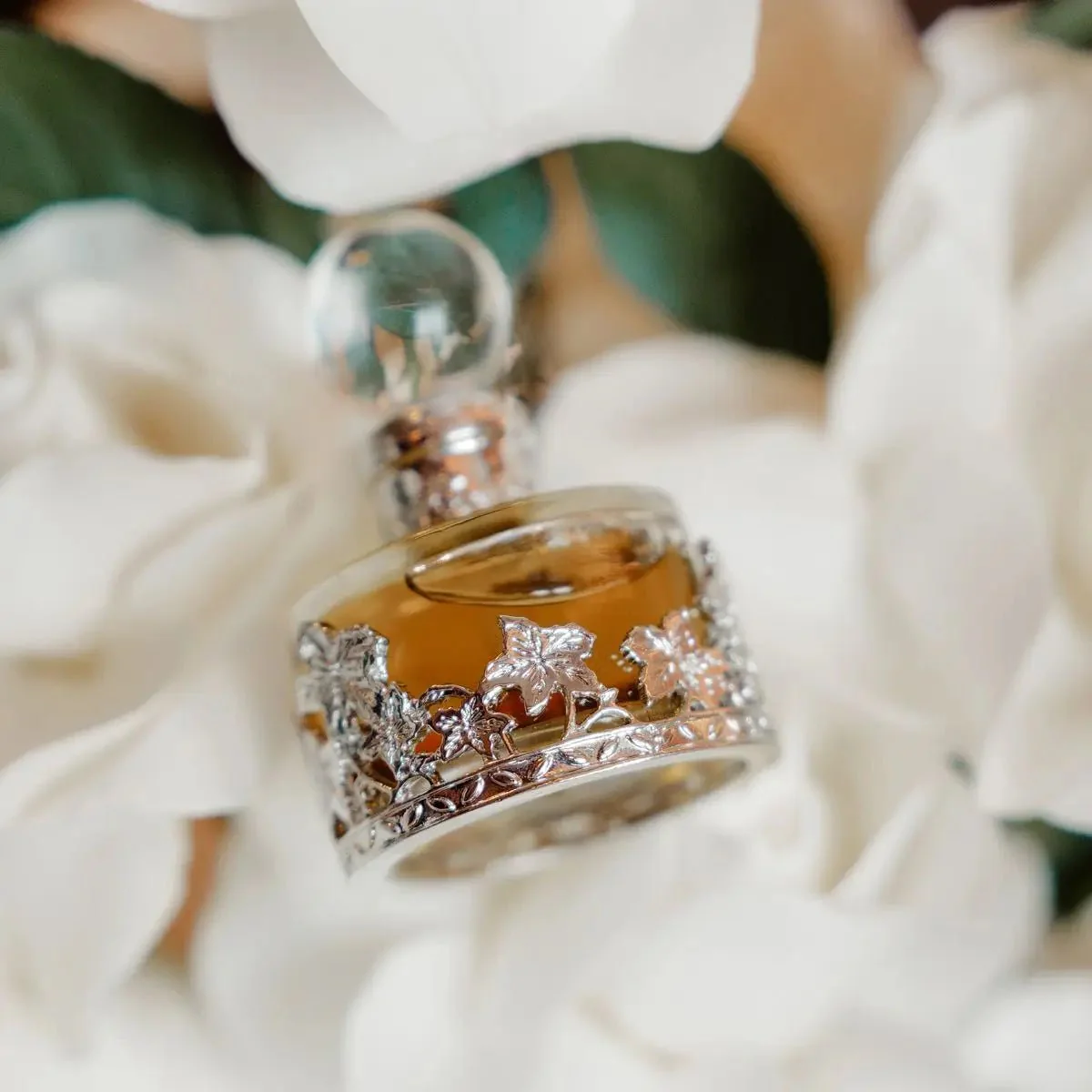 OUD MALAKI - Image 5