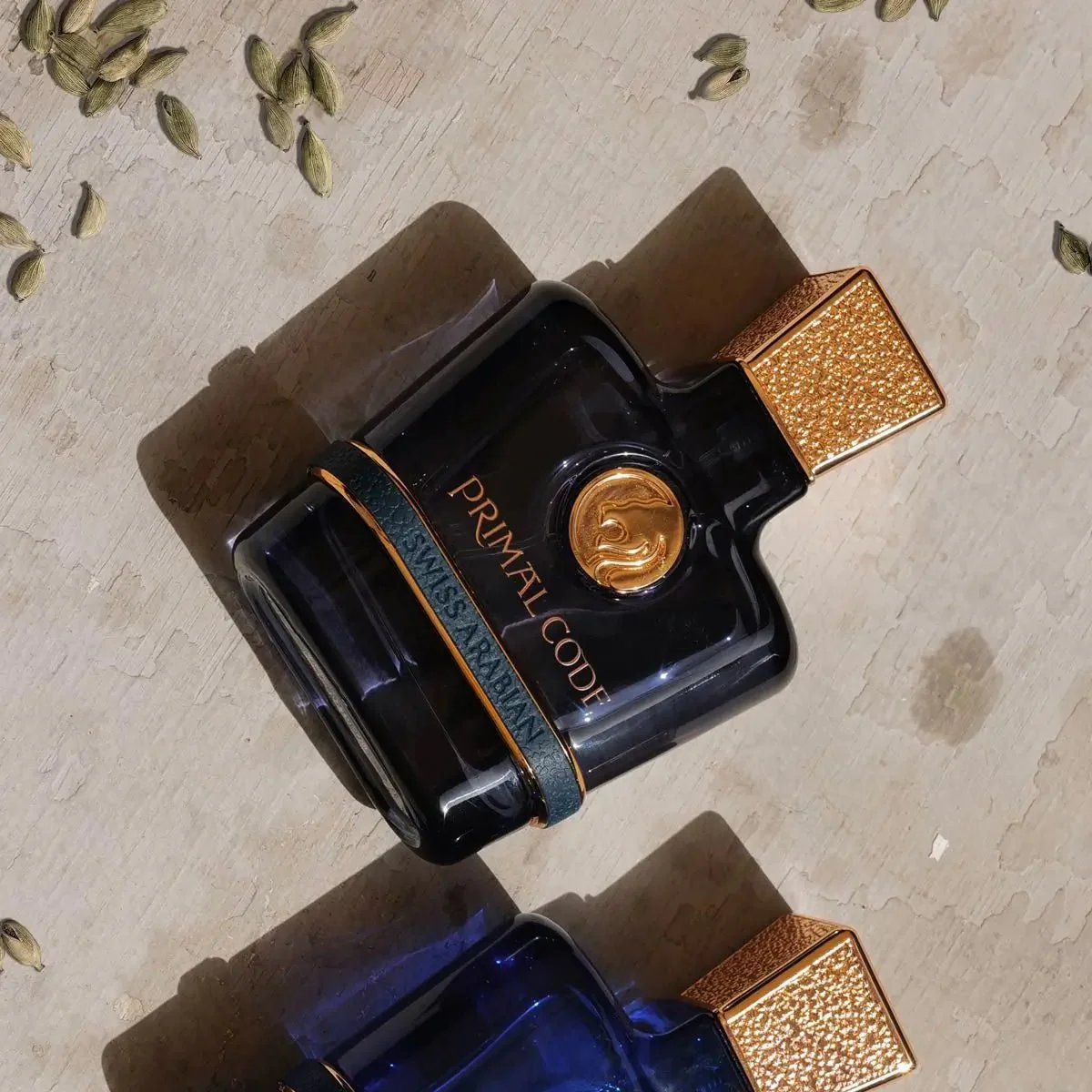 PRIMAL CODE - Image 5