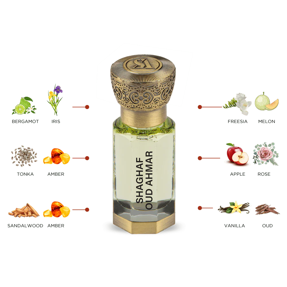 SHAGHAF OUD AHMAR - Image 3