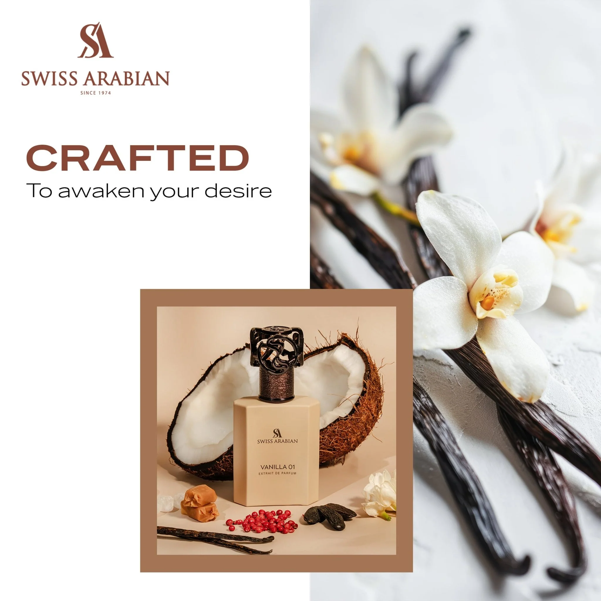 VANILLA 01 - Image 6